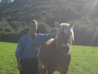 cavallo